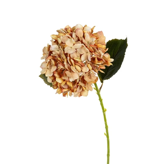 HORTENSIA 55CM GEEL/ORANJE