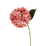 HYDRANGEA 55CM CORAL
