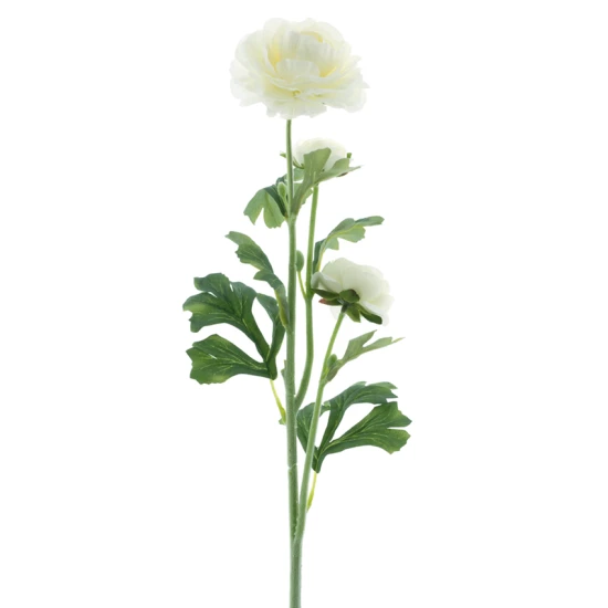 RANONKEL X3 CREAM 64CM