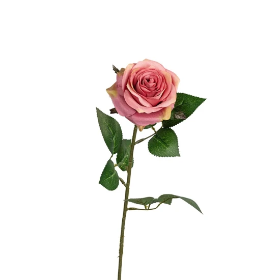 ROSE 66CM OLD PINK