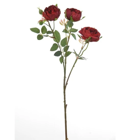 WILD ROSE 60CM RED