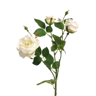 ITALIAN ROSE X3 CREAM 61CM