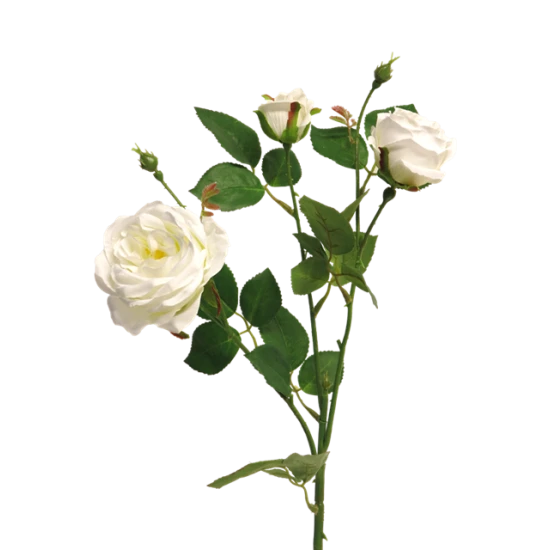 ITALIAANSE ROZEN X3 CREAM 61CM