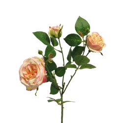ITALIAN ROSE X3 PEACH 61CM