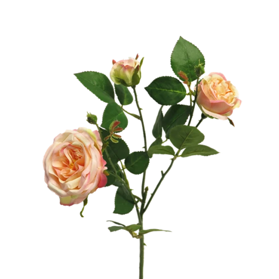 ITALIAN ROSE X3 PEACH 61CM