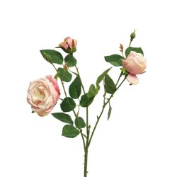 ITALIAN ROSE X3 PINK 61CM