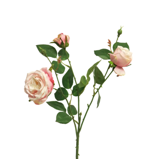 ITALIAANSE ROZEN X3 ROZE 61CM