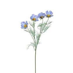 COSMOS 78CM BLUE