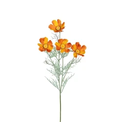 COSMOS 78CM ORANGE
