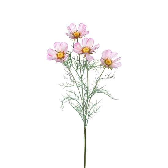COSMOS 78CM ROZE