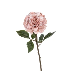 DAHLIA 59CM OLD PINK