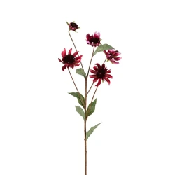 ECHINACEA 73CM DARK RED