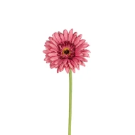 GERBERA 58CM OLD PINK