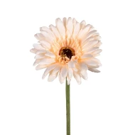 GERBERA 58CM SALMON