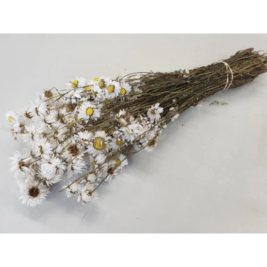 ACROCLINEUM BLANC NATUREL 1/2 BOPP/kraft