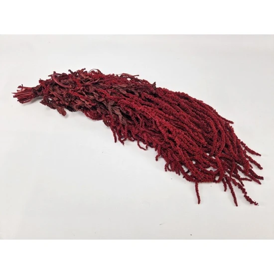 AMARANTHUS CAUDATUS PRESERVED BURGUNDY BOPP/kraft Small packaging