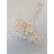 AMMI MAJUS GEBLEEKT BOPP/kraft hobbyverpakking