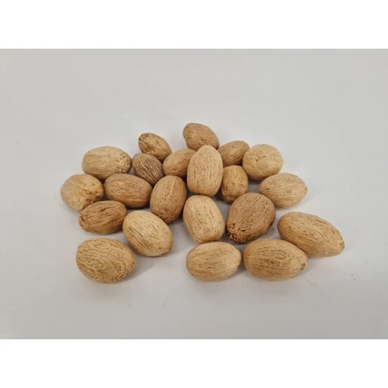 AMRA PODS GEBLEEKT