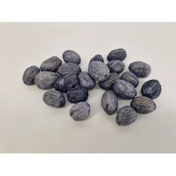 AMRA PODS GRIS +/-500GR