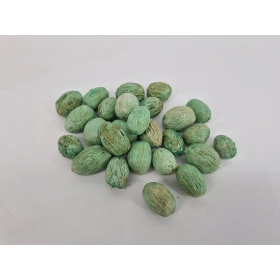 AMRA PODS MUNT