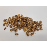 ARJUN PETIT OR 500GR