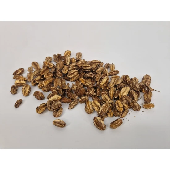 ARJUN FRUIT KLEIN GOUD 500GR