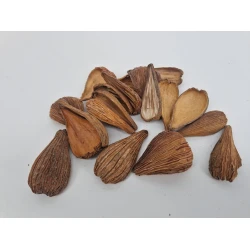 ARTI PODS NATUREL +/-50GR