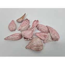 ARTI PODS PEARL PINK+/-50GR