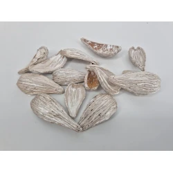 ARTI PODS PEARL WHITE +/-250GR