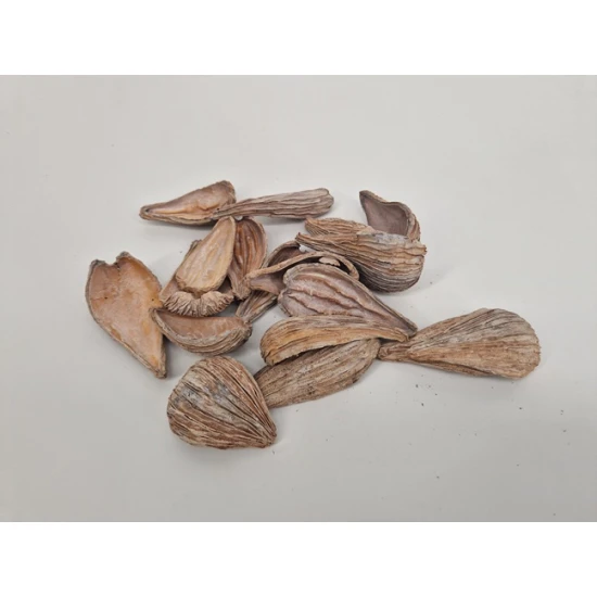ARTI PODS WHITE WASH