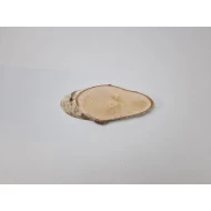 BIRCH SLICE LONG +/-22X10CM +/-2.5CM NATURAL