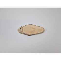 BIRCH SLICE LONG +/-22X10CM +/-2.5CM NATURAL