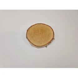 TRANCHE DE BOULEAU +/-15CM +/-2CM NATUREL