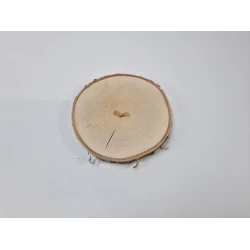 TRANCHE DE BOULEAU +/-20CM +/-2.5CM NATUREL