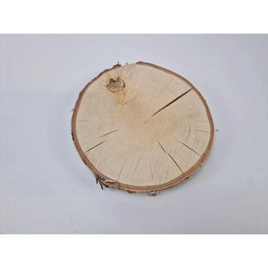TRANCHE DE BOULEAU +/-30CM +/-4CM NATUREL
