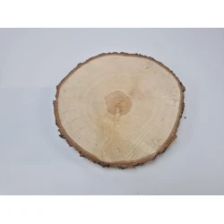 BIRCH SLICE +/-40CM +/-4CM NATURAL
