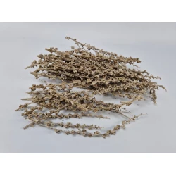 BERRY TWIGS WHITE WASH +/-200GR