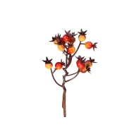 BERRIES BROWN/ORANGE 18CM 8PCS