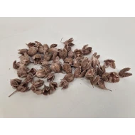 COSSES DE HETRE ROSEGOLD +/-500GR