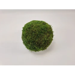 SPHERE GREEN MOSS PRESERVED 20CM