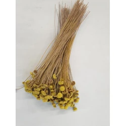 BOTAO BRANCO YELLOW +/-50GR BOPP/kraft Small packaging