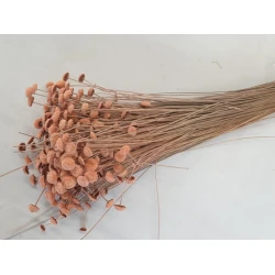 BOTAO BRANCO MELON +/-50GR BOPP/kraft Small packaging