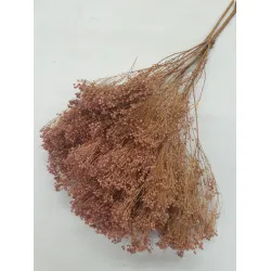 BROOM BLOOM OLD PINK +/-100GR BOPP/kraft Small packaging