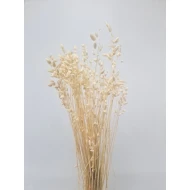 BRIZA MAXIMA GEBLEEKT +/-35GR BOPP/kraft hobbyverpakking