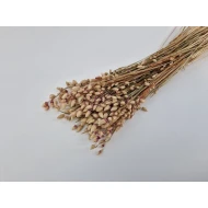 BRIZA MAXIMA NATUREL 1/2 BOPP/kraft hobbyverpakking