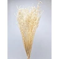 BRIZA MINIMA BLEACHED +/-100GR BOPP/kraft Small packaging