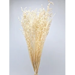 BRIZA MINIMA BLEACHED +/-100GR BOPP/kraft Small packaging