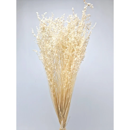 BRIZA MINIMA BLANCHI +/-100GR