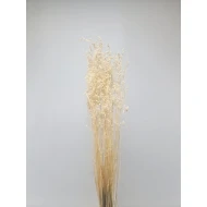 BRIZA MINIMA GEBLEEKT +/-50GR BOPP/kraft hobbyverpakking