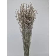 BRIZA MINIMA NATURAL GROEN +/-50GR BOPP/kraft hobbyverpakking